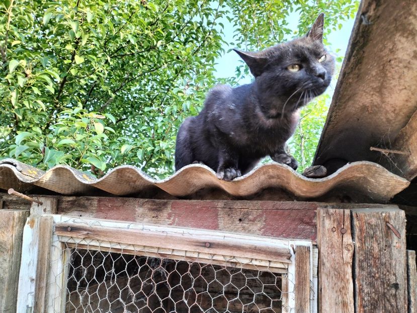 IMG20230530075711 - RIP Rufus