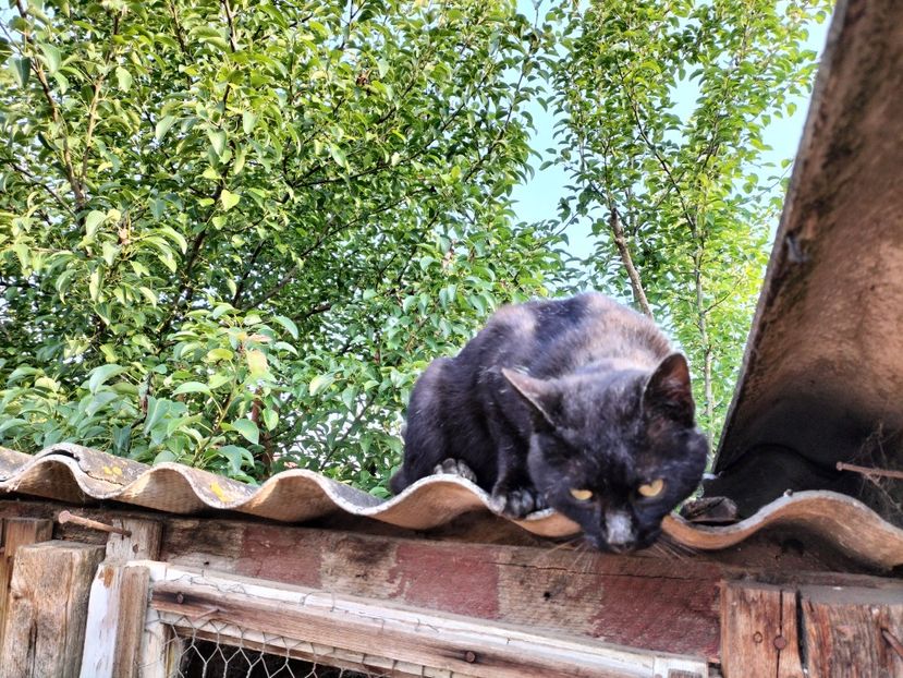 IMG20230530075703 - RIP Rufus