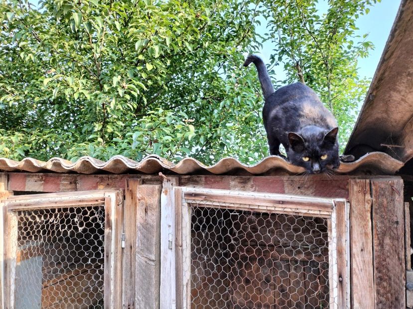 IMG20230530075642 - RIP Rufus