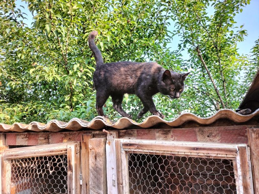 IMG20230530075636 - RIP Rufus