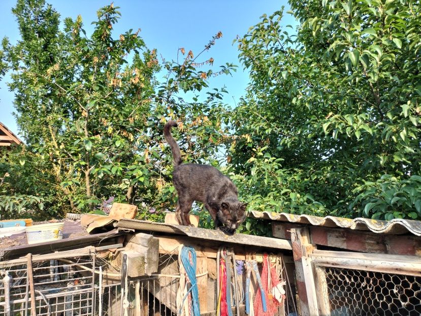 IMG20230530075628 - RIP Rufus