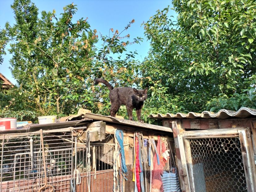 IMG20230530075625 - RIP Rufus