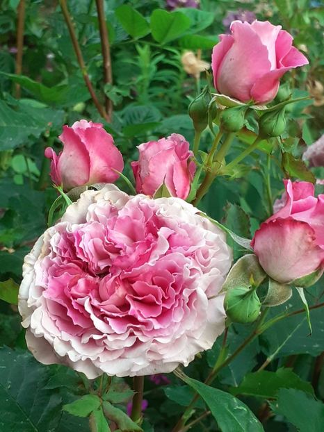  - Agnes 2021 - 2022-2023