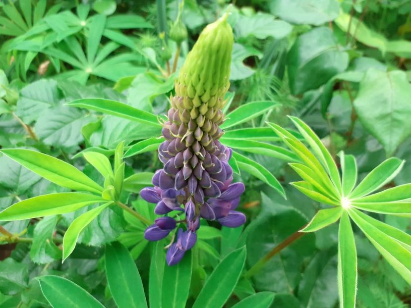 20230511_193854 - Copy - ANUL 2023