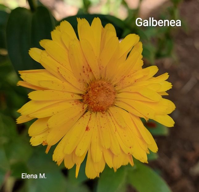  - 2023 - Grădinița de la bloc