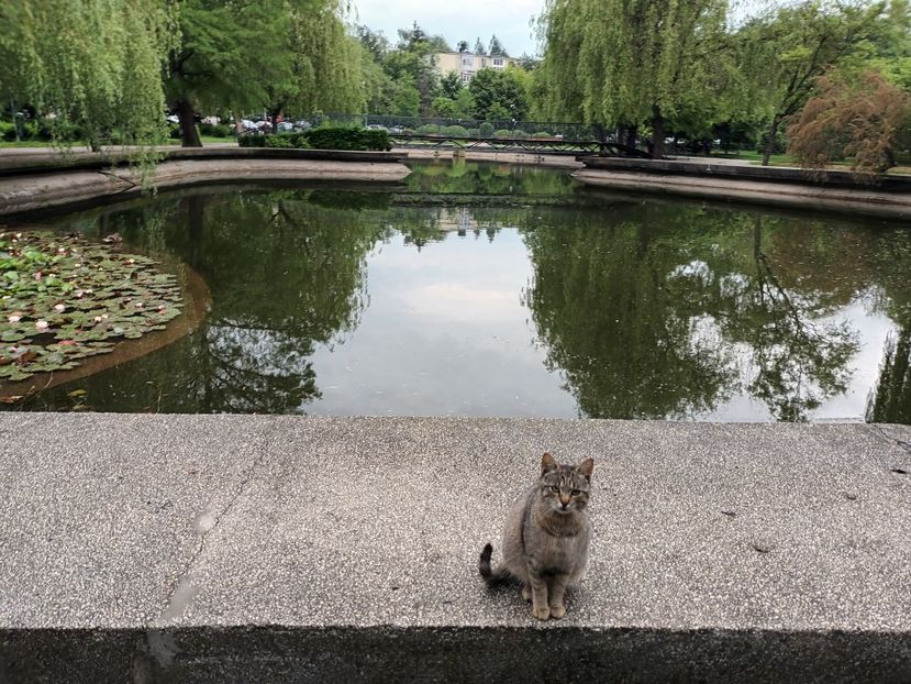 Nu toate zilele sunt bune... - Momente