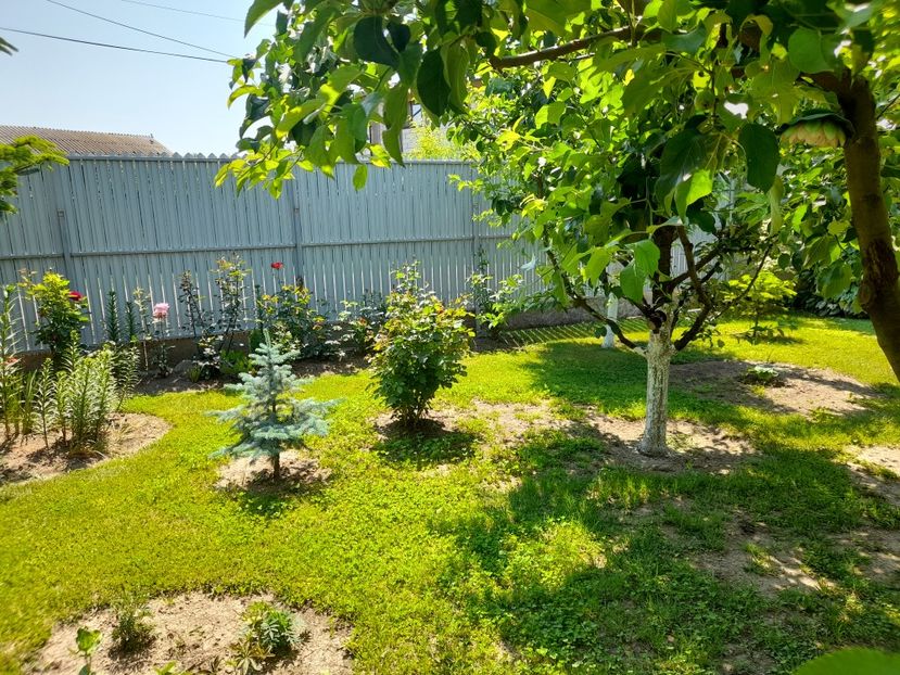  - 1 Bucurii nemuritoare 2023