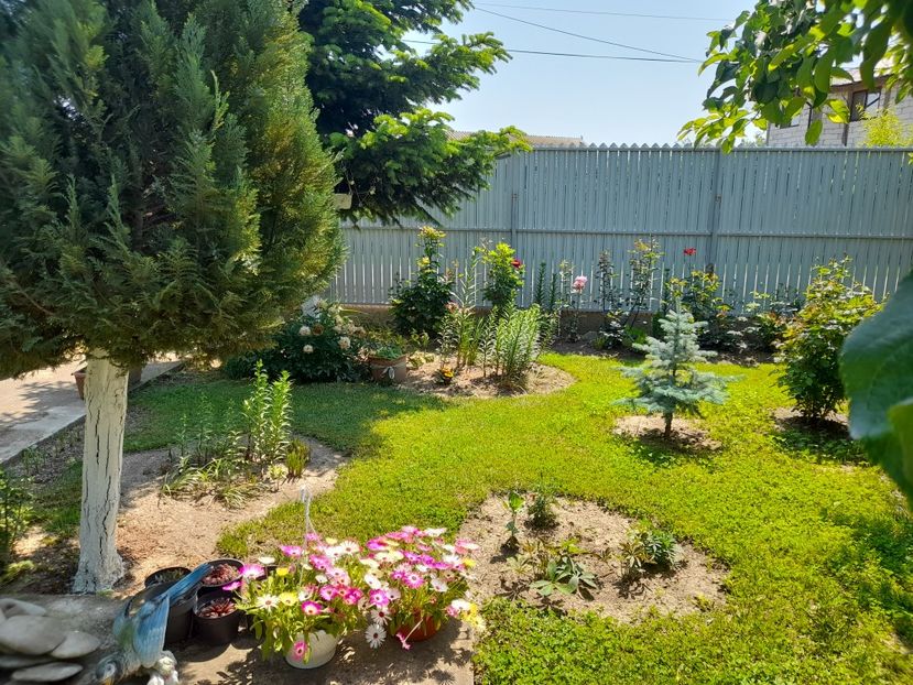  - 1 Bucurii nemuritoare 2023