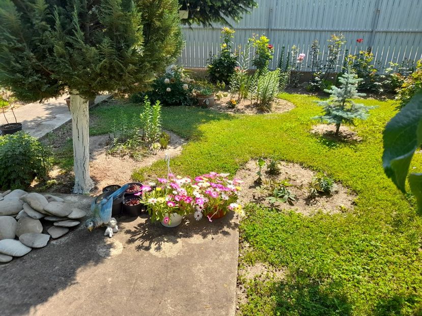  - 1 Bucurii nemuritoare 2023