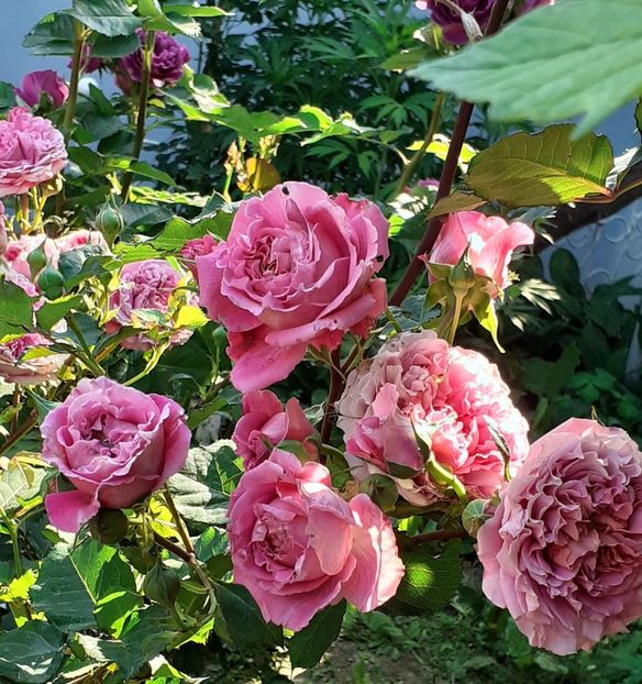 20230602_083237~2 - Agnes 2021 - 2022-2023