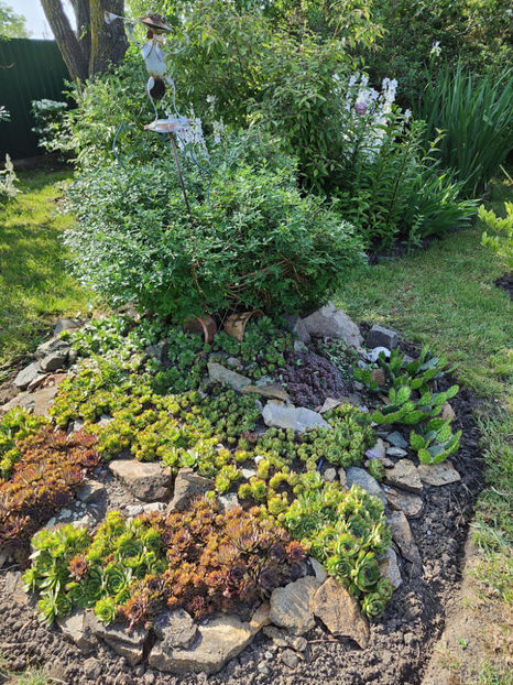 iunie 2023 - Gradina si terasa PrimaLuce__10-Hello 2023