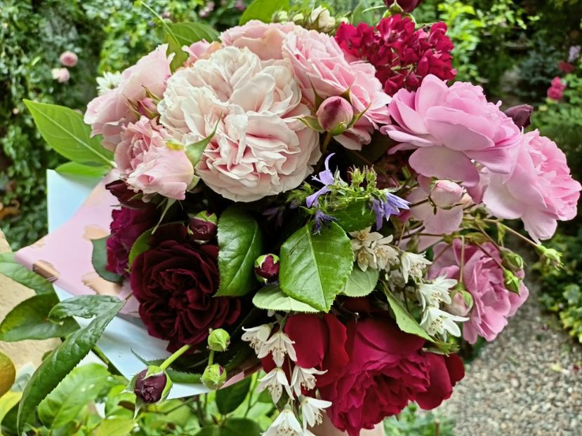  - Grădina 2023 continuare 3