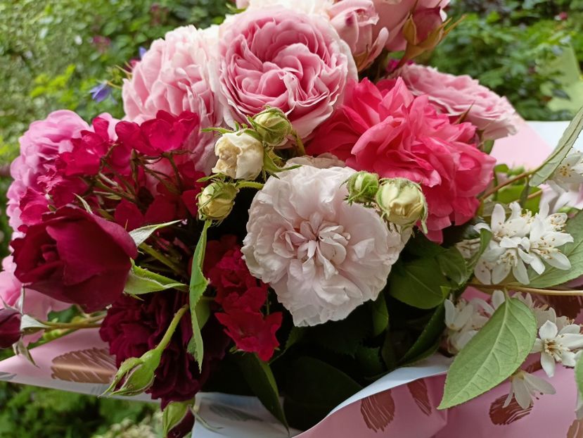  - Grădina 2023 continuare 3