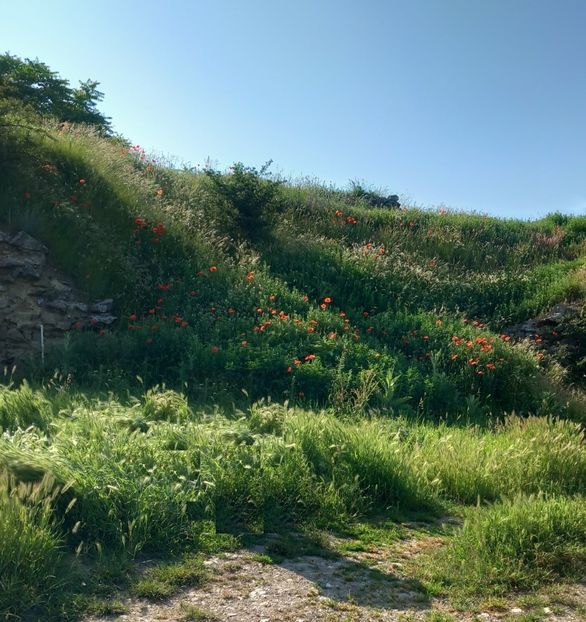  - Fotografiile Mele 2