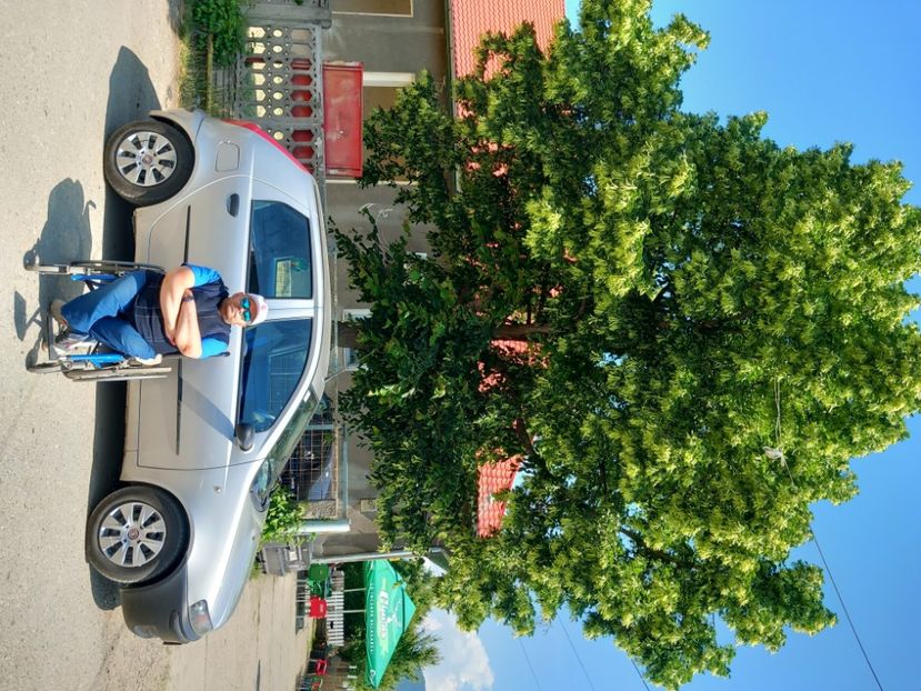  - Fotografiile Mele 2