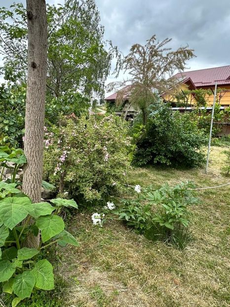 Xw7WvgPCuCH-rZ1uN4txlDvzIjf2u0BKIgFKYN4SI7w=_plaintext_638213833624965738 - 0 001 2023 Gradina ROMAN 03 06 2023