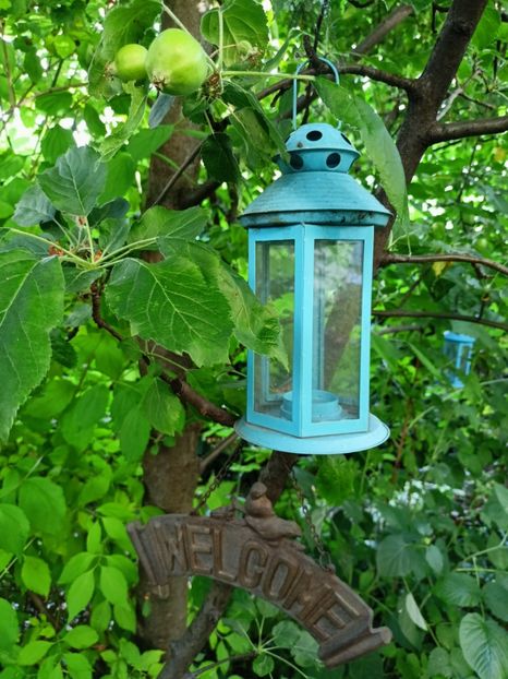  - Grădina 2023 continuare 3