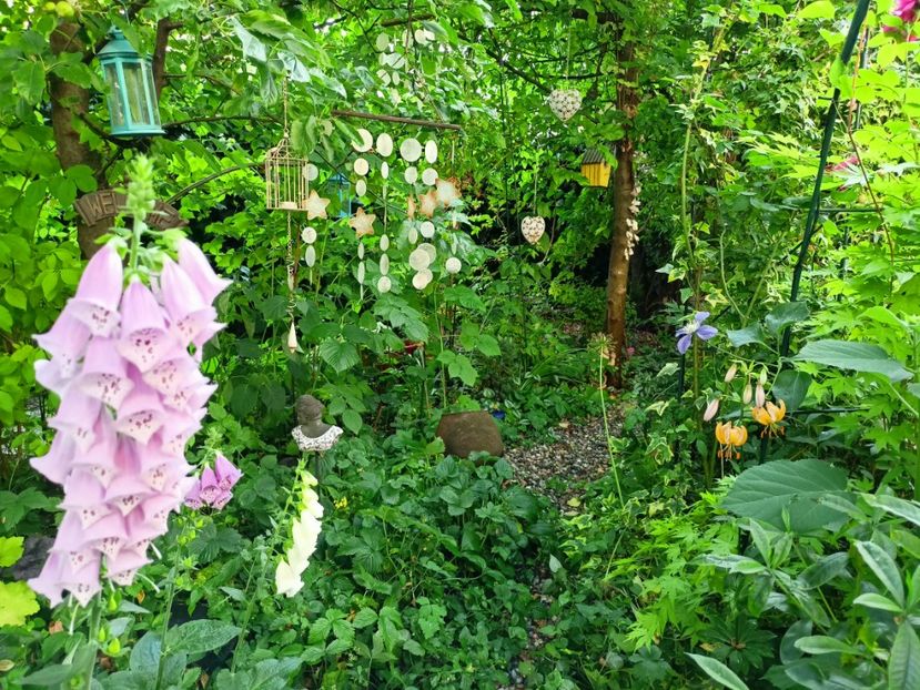  - Grădina 2023 continuare 3