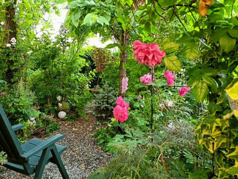  - Grădina 2023 continuare 3