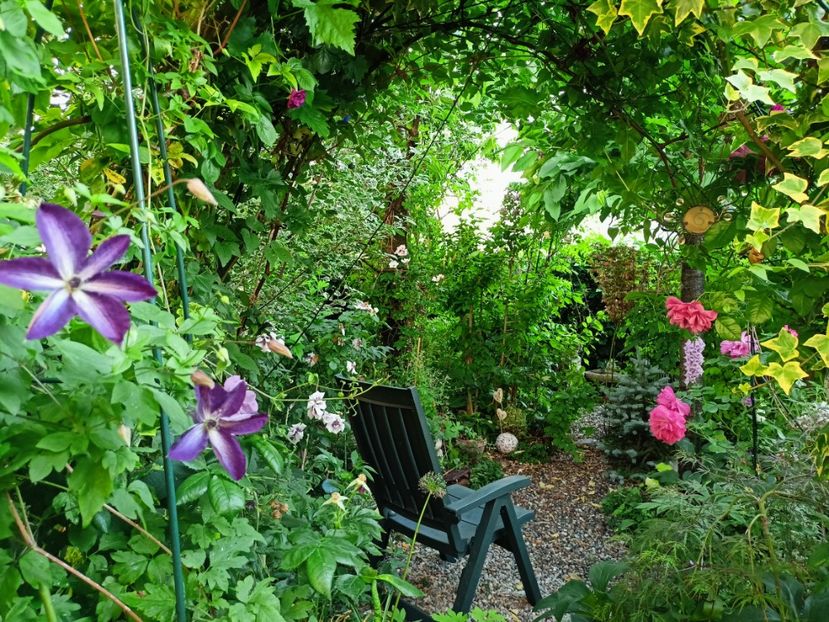  - Grădina 2023 continuare 3