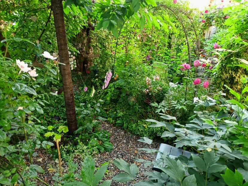  - Grădina 2023 continuare 3