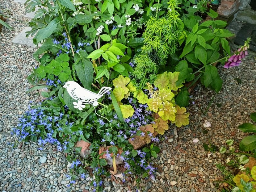  - Grădina 2023 continuare 3