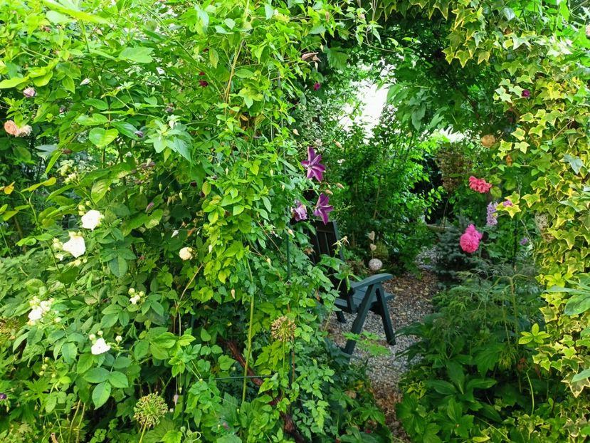  - Grădina 2023 continuare 3