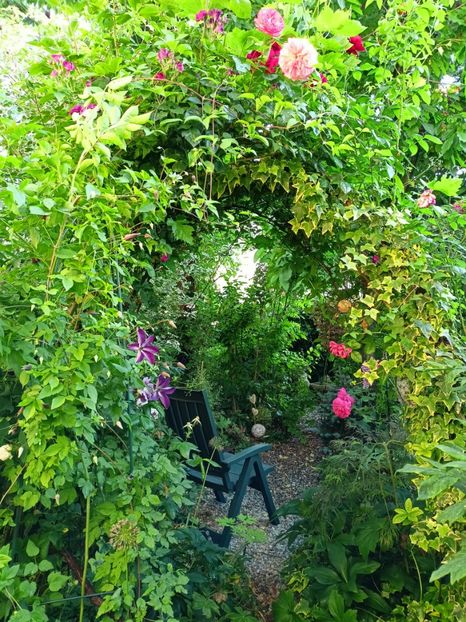  - Grădina 2023 continuare 3