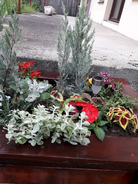 1ac3d1f0-97a0-406d-b1ae-1d6a6bb0dffc - Alta gradina 2023