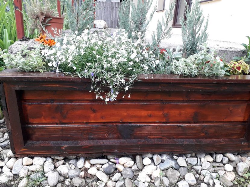 86d98a7d-f75c-40a0-bf74-76e8a5b4bcf8 - Alta gradina 2023