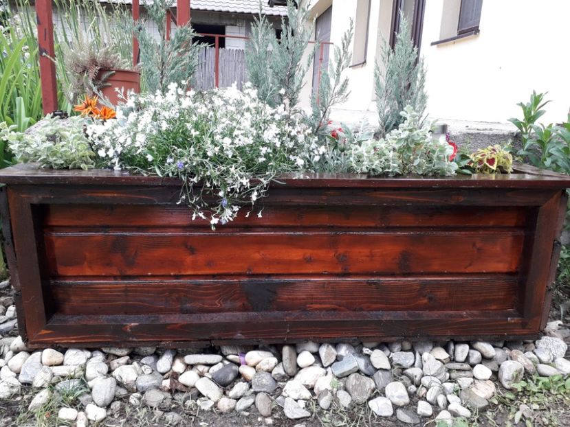 2373a203-b930-4673-b37d-ca312689c2aa - Alta gradina 2023