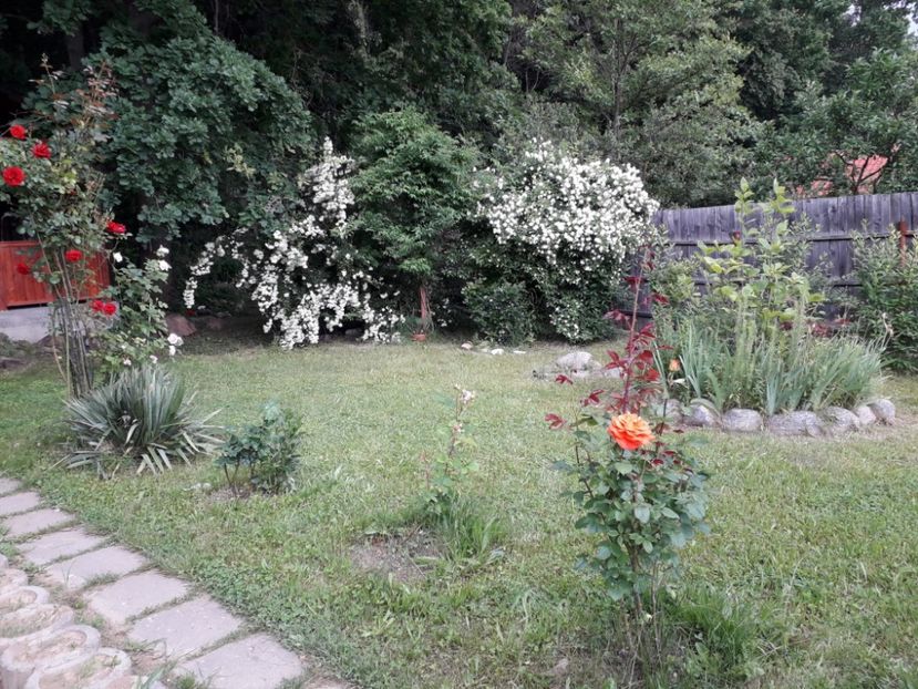 a2436134-62a9-4c96-bcc2-df2c78fa0e49 - Alta gradina 2023