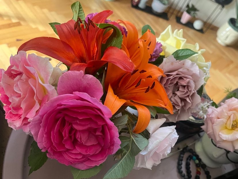 D68C81D8-5DA1-4980-93E4-F3A8D6A05A42 - Trandafiri la balta 2023