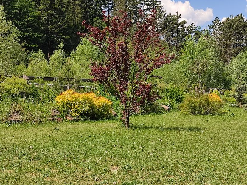 Parc Chilia Daniil Sihastru - minivacanta Putna