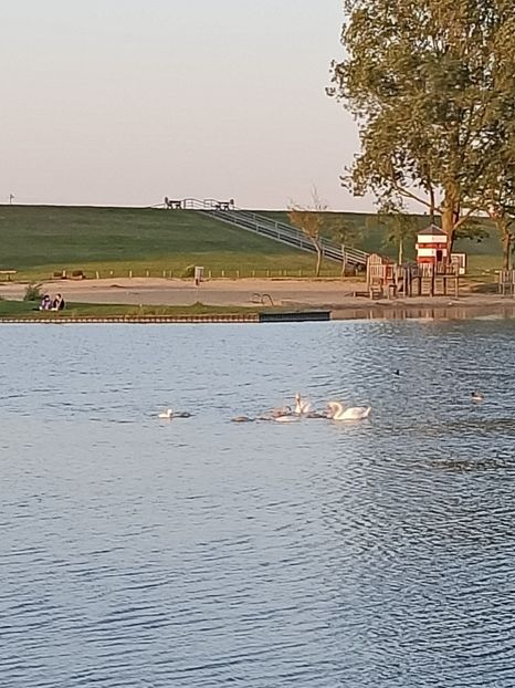 Img.2023.06.03 - Cerul