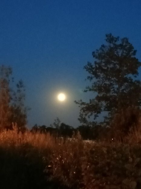 Img.2023.06.03 - Cerul