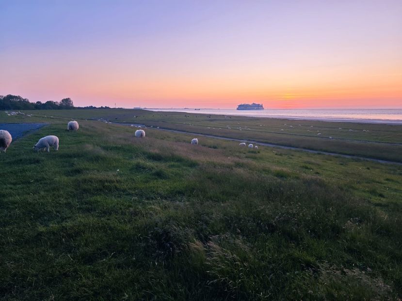 IMG-2023.06.03 - Cerul