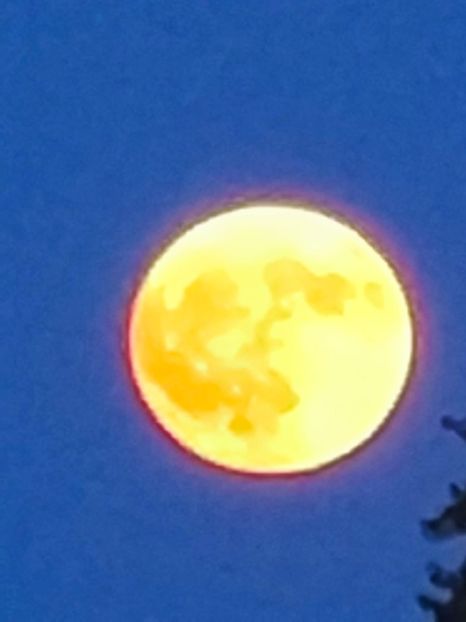 IMG-2023.06.03 - Cerul