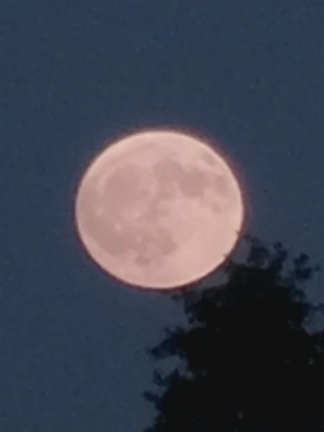 IMG-2023.06.03 - Cerul