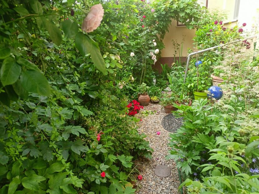 04.06.2023 - Grădina 2023 continuare 3