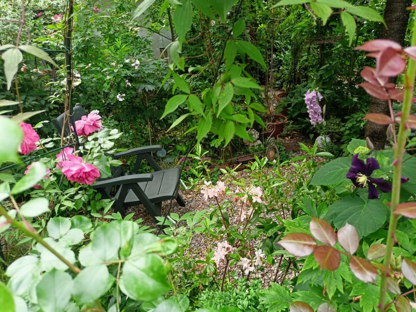  - Grădina 2023 continuare 3