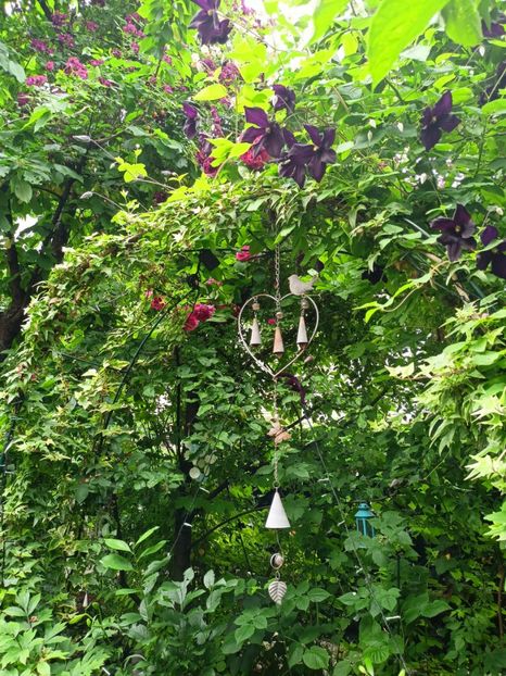  - Grădina 2023 continuare 3