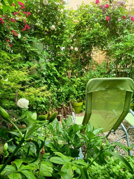  - Grădina 2023 continuare 3