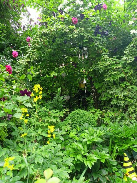  - Grădina 2023 continuare 3