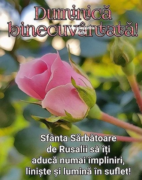  - Grădina mea de la țară