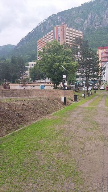 Imagine WhatsApp 2023-06-03 la 17.42.22 - 2023 MLainic MTismana MSfAna Herculane CazaneleDunării Giardini di Gioia 2-4 iunie