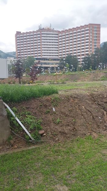 Imagine WhatsApp 2023-06-03 la 17.42.32 - 2023 MLainic MTismana MSfAna Herculane CazaneleDunării Giardini di Gioia 2-4 iunie