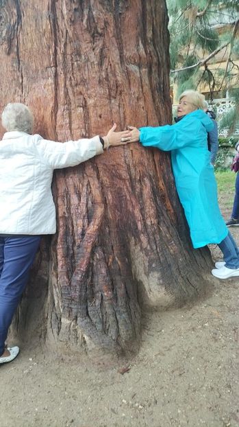 Imagine WhatsApp 2023-06-04 la 09.59.17 - 2023 MLainic MTismana MSfAna Herculane CazaneleDunării Giardini di Gioia 2-4 iunie