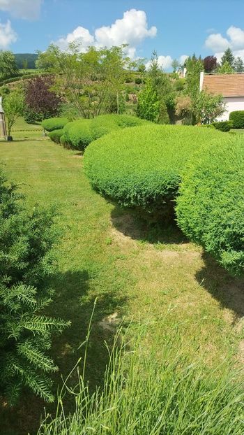 Imagine WhatsApp 2023-06-04 la 16.01.39 - 2023 MLainic MTismana MSfAna Herculane CazaneleDunării Giardini di Gioia 2-4 iunie