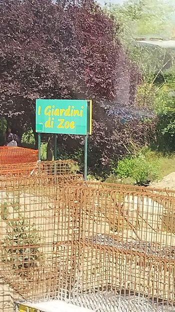 Imagine WhatsApp 2023-06-04 la 16.26.06 - 2023 MLainic MTismana MSfAna Herculane CazaneleDunării Giardini di Gioia 2-4 iunie